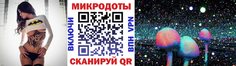 Псилоцибиновые грибы Psilocybe Заинск